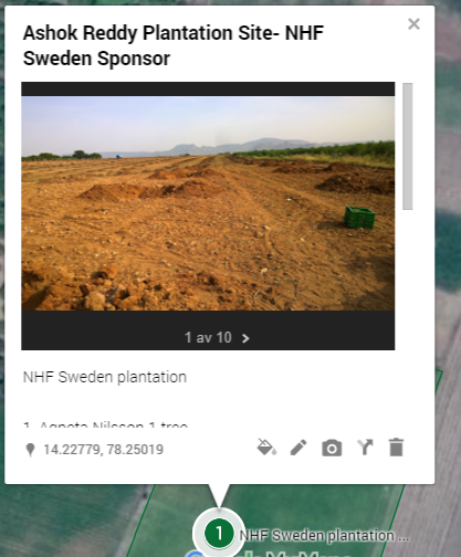 NHF Sweden plantage1